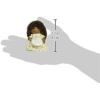 image:imageCalico Critters Cuddle Bear Family Dolls Dollhouse Figures Collectible Toys 4 CountPickleweeds Hedgehog Family